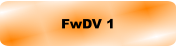 FwDV 1