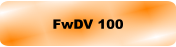 FwDV 100